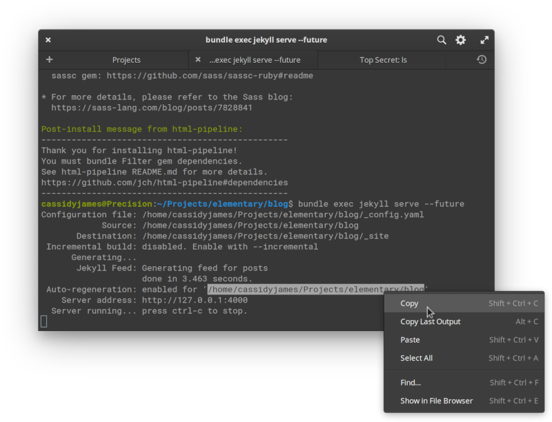 Terminal with context menu