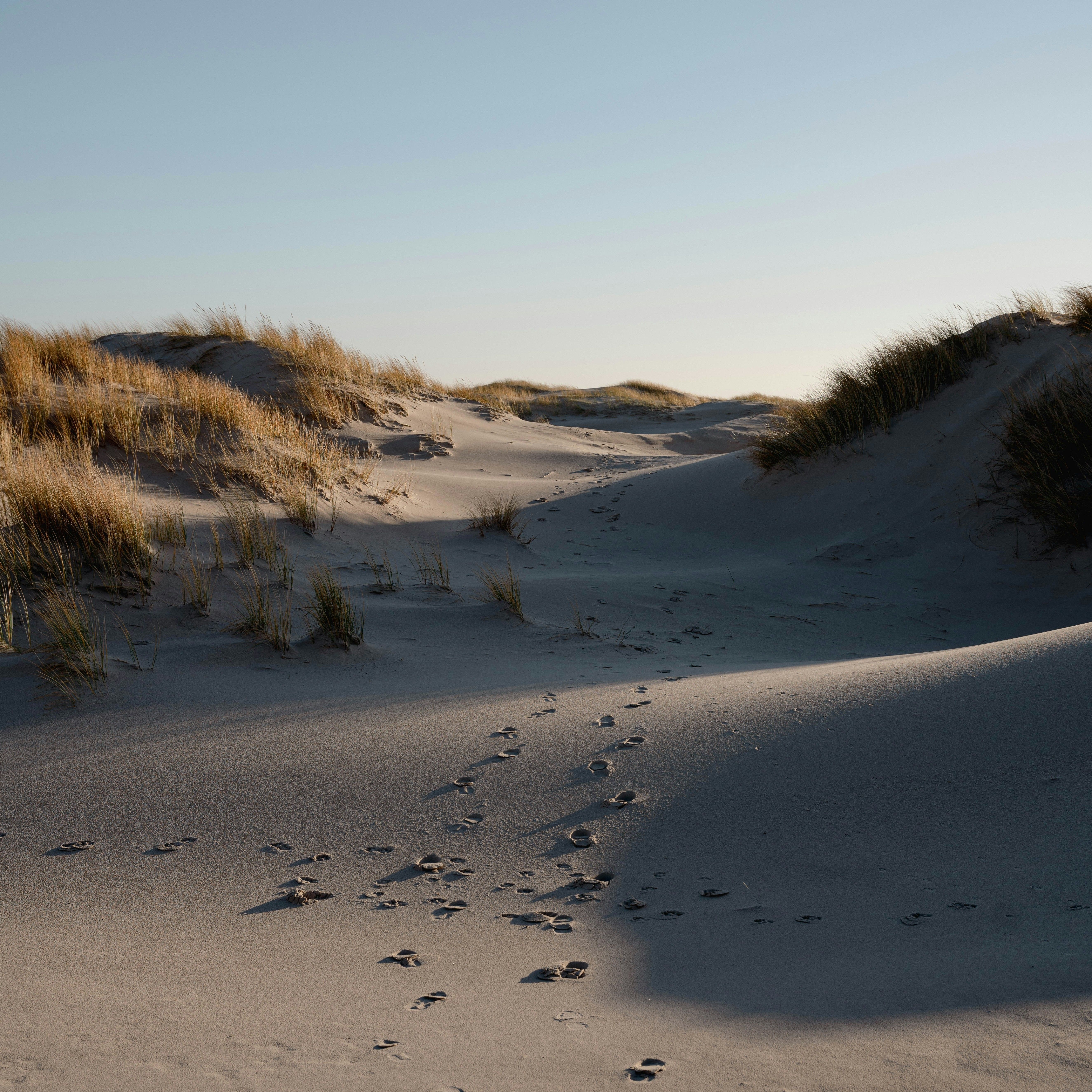 A Trail of Footprints In The Sand